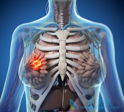 ���ٰ�������ʳ