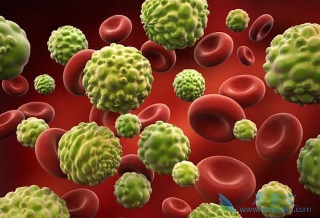 ��ϸ�����ص�