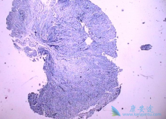 θ�ͷֻ��ٰ��ܻ��ã�