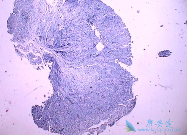 �ͷֻ��ٰ��ܻ���