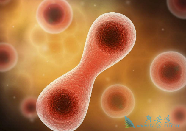 ��Ƥ������ҩ��