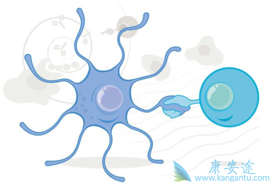 ��Ĥ��Ƥ��