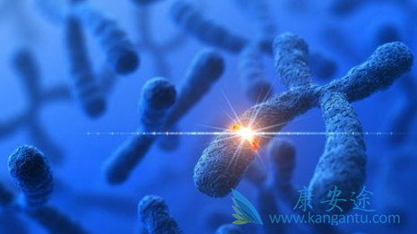 ����ͻ��