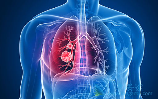 �ΰ����ڻ��о���