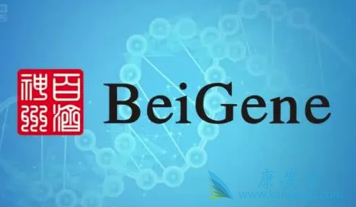 �����ᵥҩ����