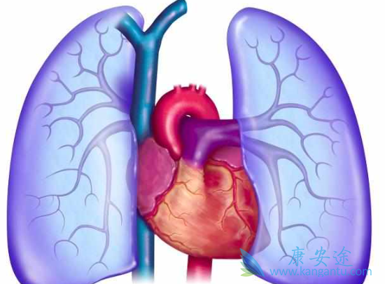 ����ά��������