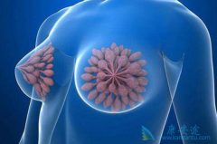 �������ٰ�������ԭ����ʲô��