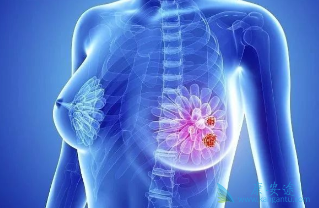 ���������ٰ�