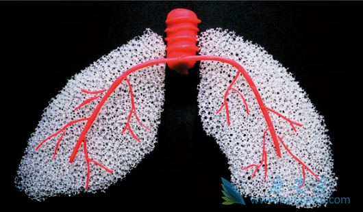 ����ά����֢״