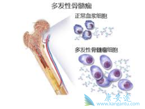 ʲô�Ƕ෢�Թ�����