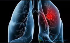 Сϸ���ΰ������ڻ�����Щ����Ӱ�죿