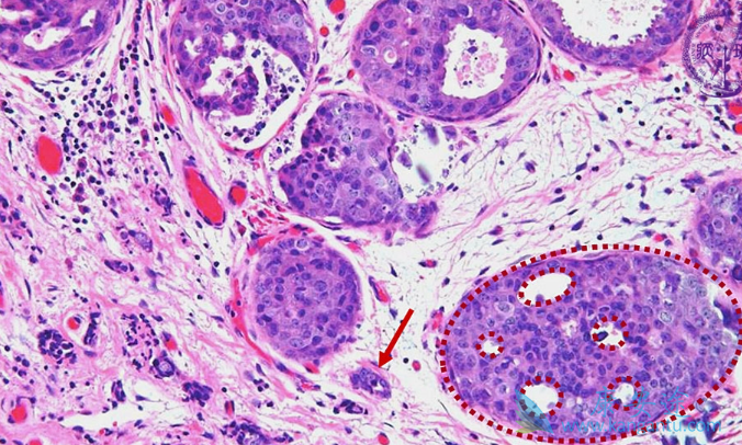 �ͷֻ��ٰ��ܻ���