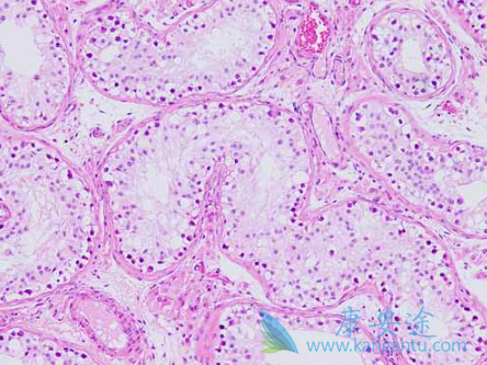 �ͷֻ��ٰ����κ���