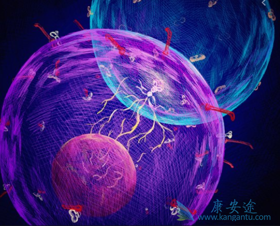 ϸ�������ͷ��ۺ���