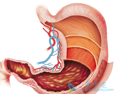 �ͷֻ��ٰ�θ��