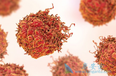 ������ܰ���������ҩ������Щ��������ܰ�������������