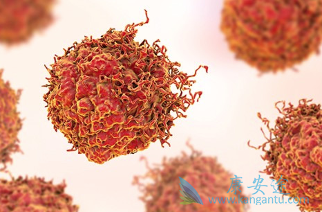 ������ܰ���