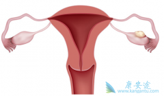 ���������������в������Ƹ����ѳ�����Ч���ҷ��õ�