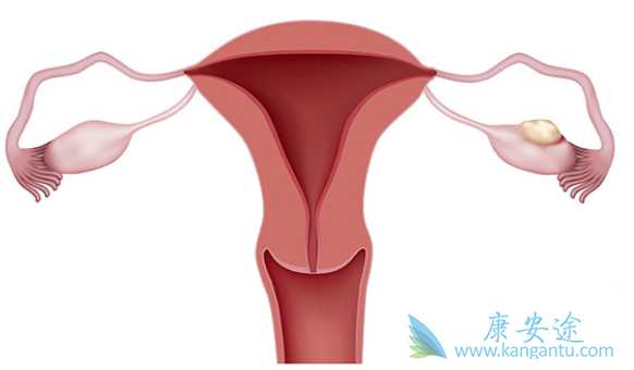 �����ѳ���