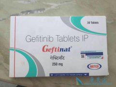 ��������(Gefitinib)��NSCLC��չ�ں����Ӧ�û�����Ч��