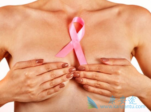 ���ٰ��ڷ�������