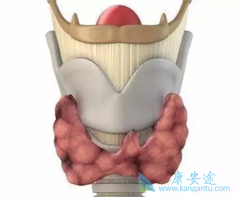 ��״������