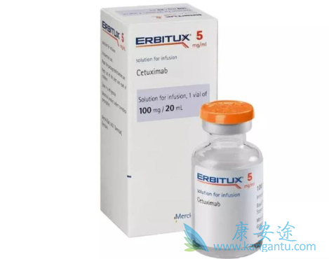 ������˵����