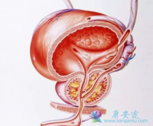 ǰ���ٰ���ת������ж���