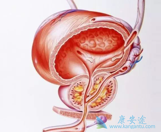 ǰ���ٰ���ת��