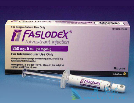 ���ٰ��ڷ�������