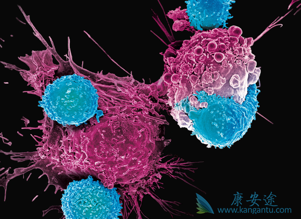 ϸ�����ӷ籩