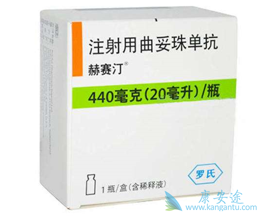 ����͡����Ч