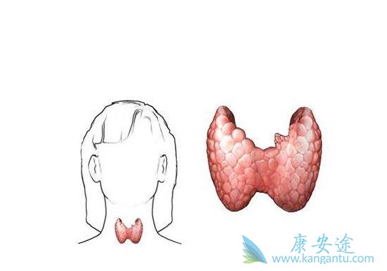 ��״������