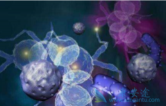 �෢�Թ��������ƻ����Ḵ����