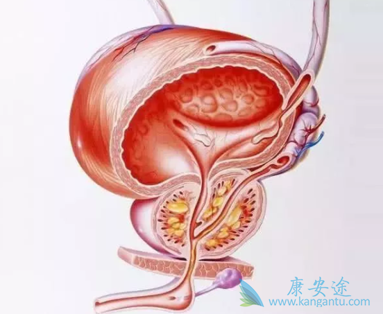 ǰ���ٰ���ת��