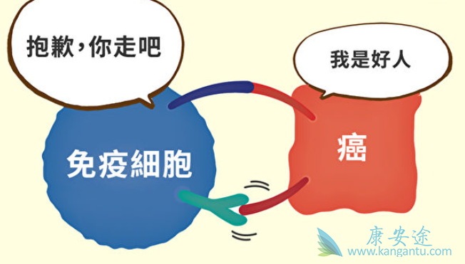 ϸ�������Ʒ�