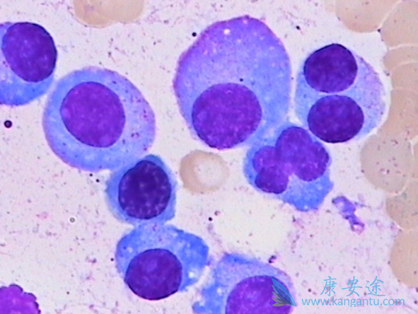 �෢�Թ�����������