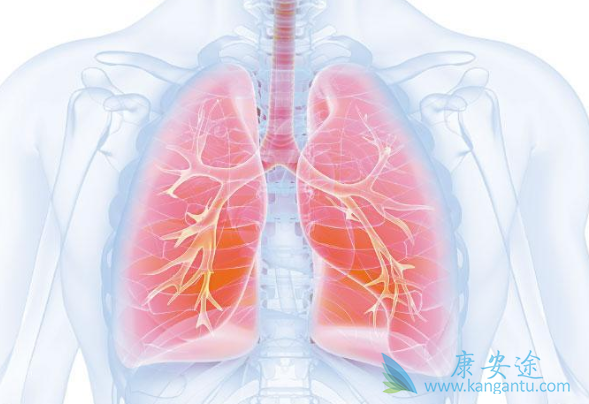 �ΰ�EGFRҩ��