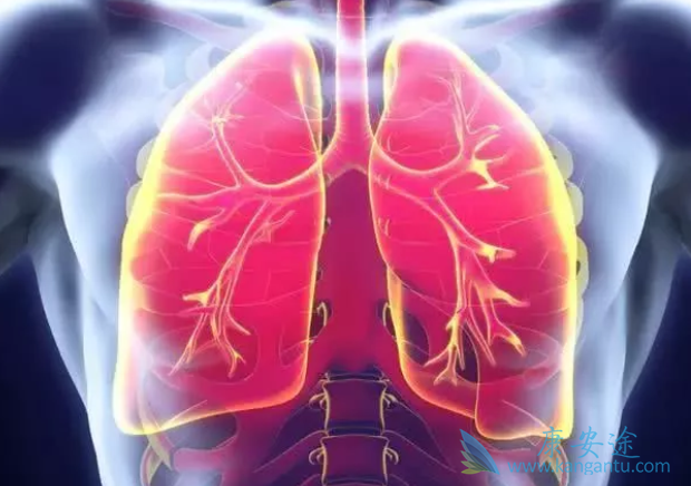 �ΰ�EGFR����ҩ��