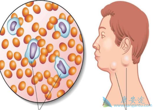 ������ܰ���