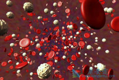 CAR-Tϸ�����������бȽ����ص�ϸ�����ӷ籩