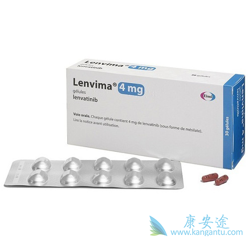 �ط�����