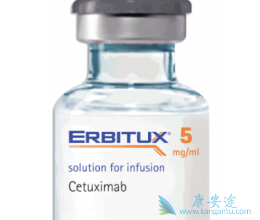 ������˵����