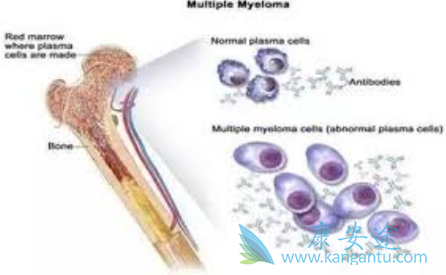 �෢�Թ���������