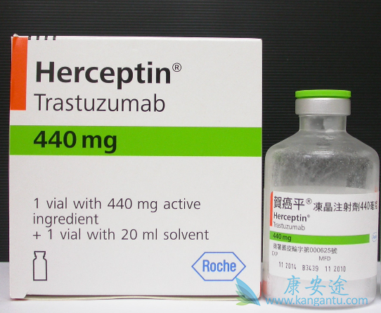 ����͡����Ч