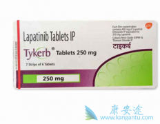 ��������������(Lapatinib)����ת�ƻ��ߵ���Ч��