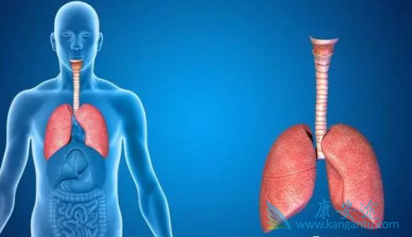 �ΰ�������ô����