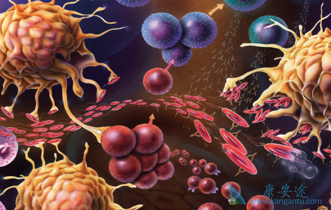 ϸ�����ӷ籩