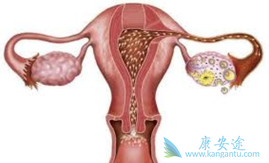 �ѳ�������