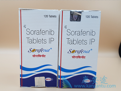 �༪��˵����